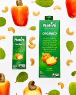 feed_nectar_caju_matinal_native_v1_01