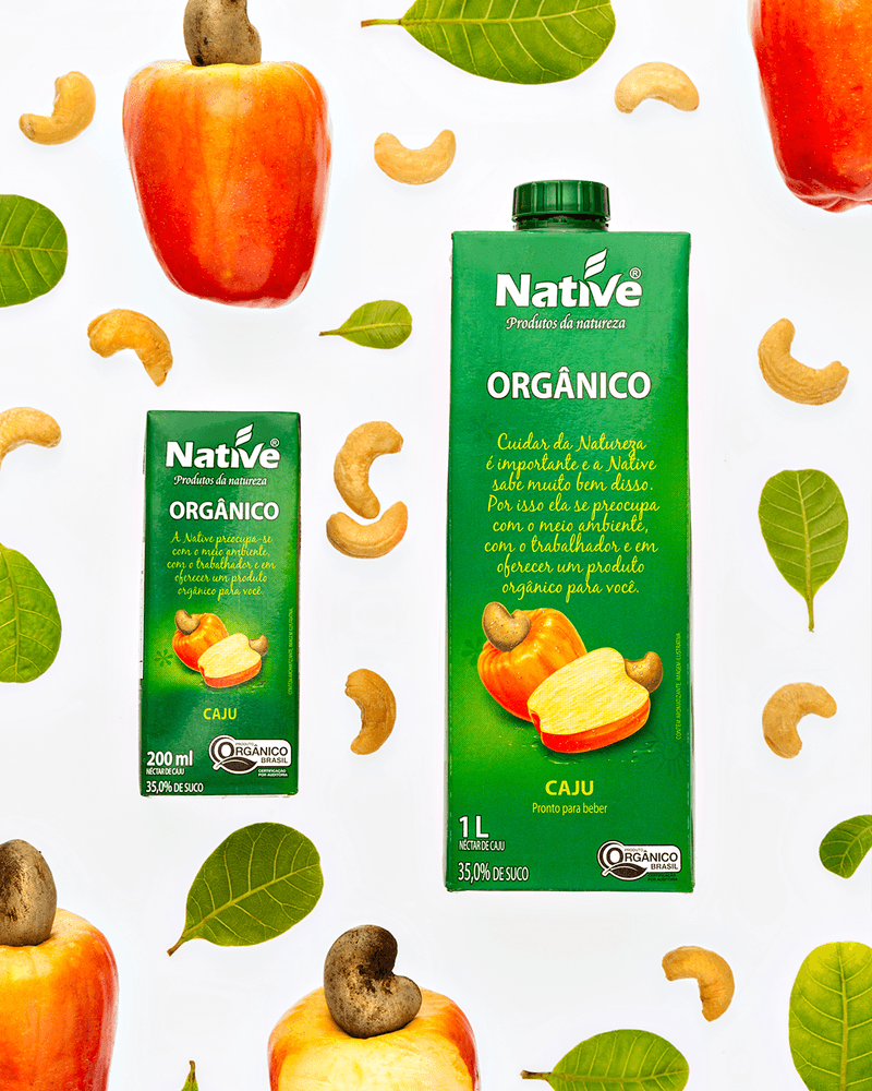 feed_nectar_caju_matinal_native_v1_01