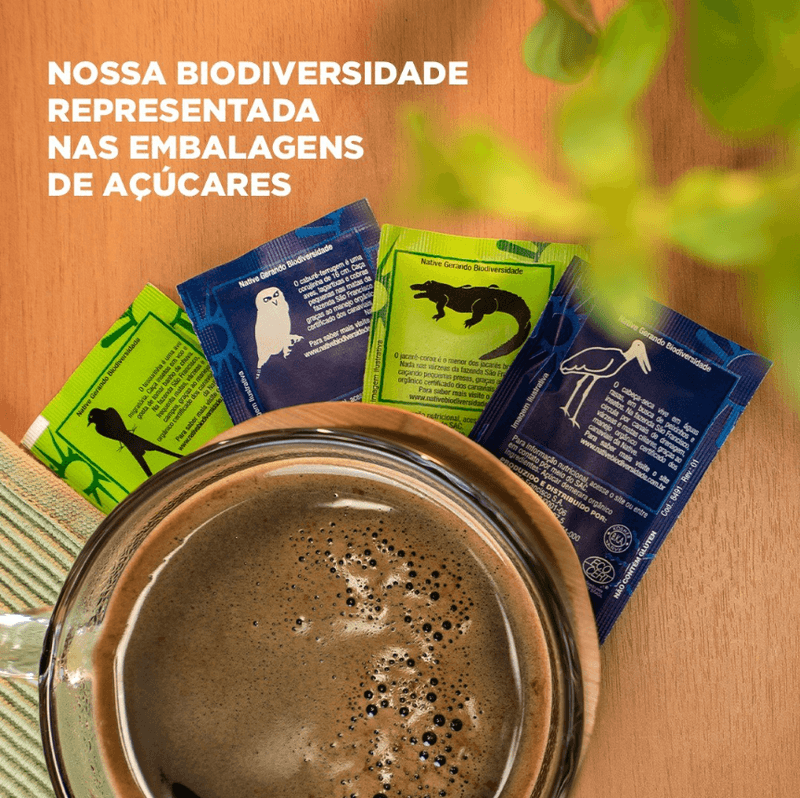 Captura-de-tela-2024-09-19-162338