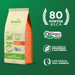 NV_0004_24_Cerrado_Graos_LY01_03